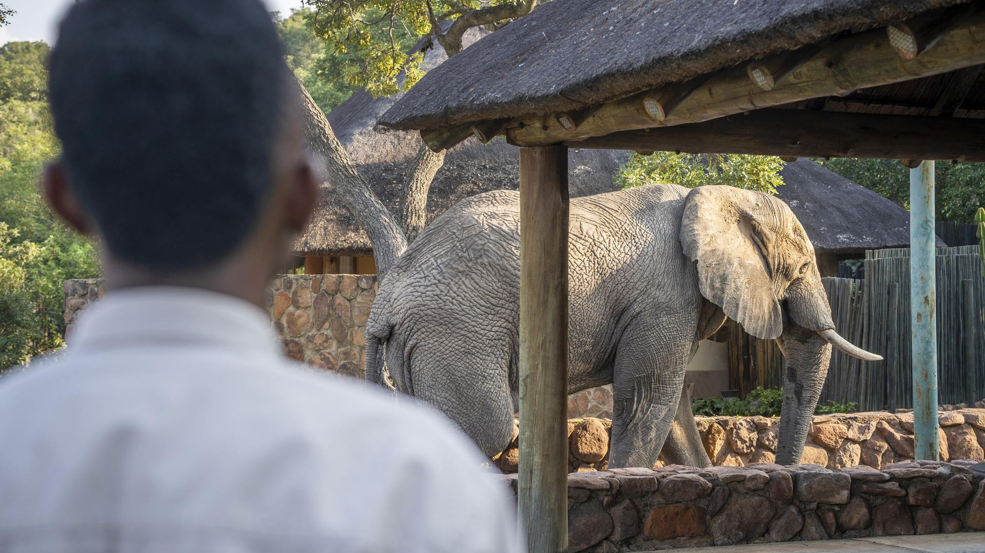 Ekuthuleni Lodge » Matoke